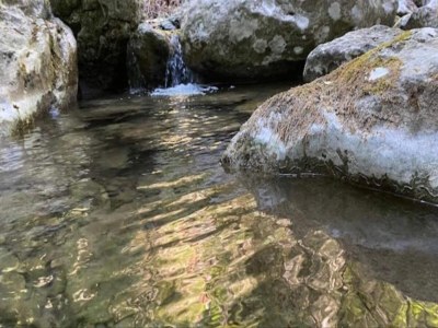 Holiday house Familienlandhaus in der Toskana - Environment photo 37