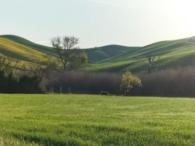 Holiday house Familienlandhaus in der Toskana - Environment photo 38