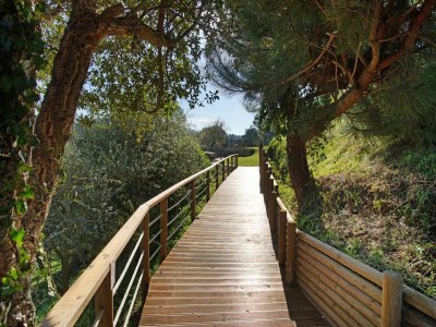 Villa Spacious Villa in Salir de Mato with Private Pool, Terrace - Environment photo 19