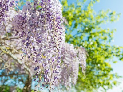 Villa Sa Conca - Outdoor photo 10