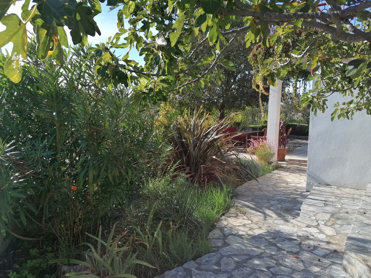 Holiday house Lastavica. - Outdoor photo 3