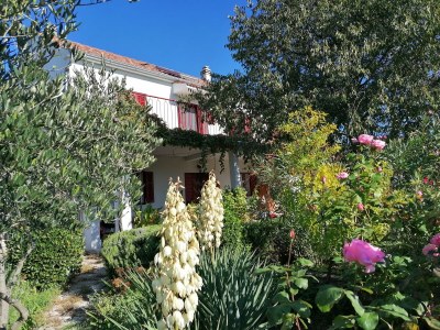 Holiday house Lastavica. in Sibenik-Bilice - Holiday house