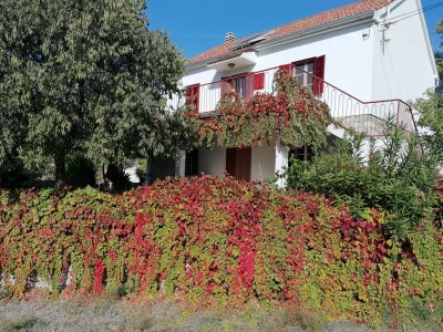Holiday house Lastavica. - Outdoor photo 2
