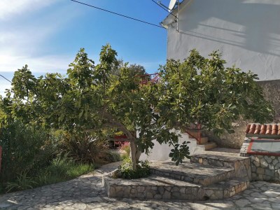 Holiday house Lastavica. - Features photo 23