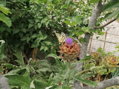 Holiday house Lastavica. - Features photo 24