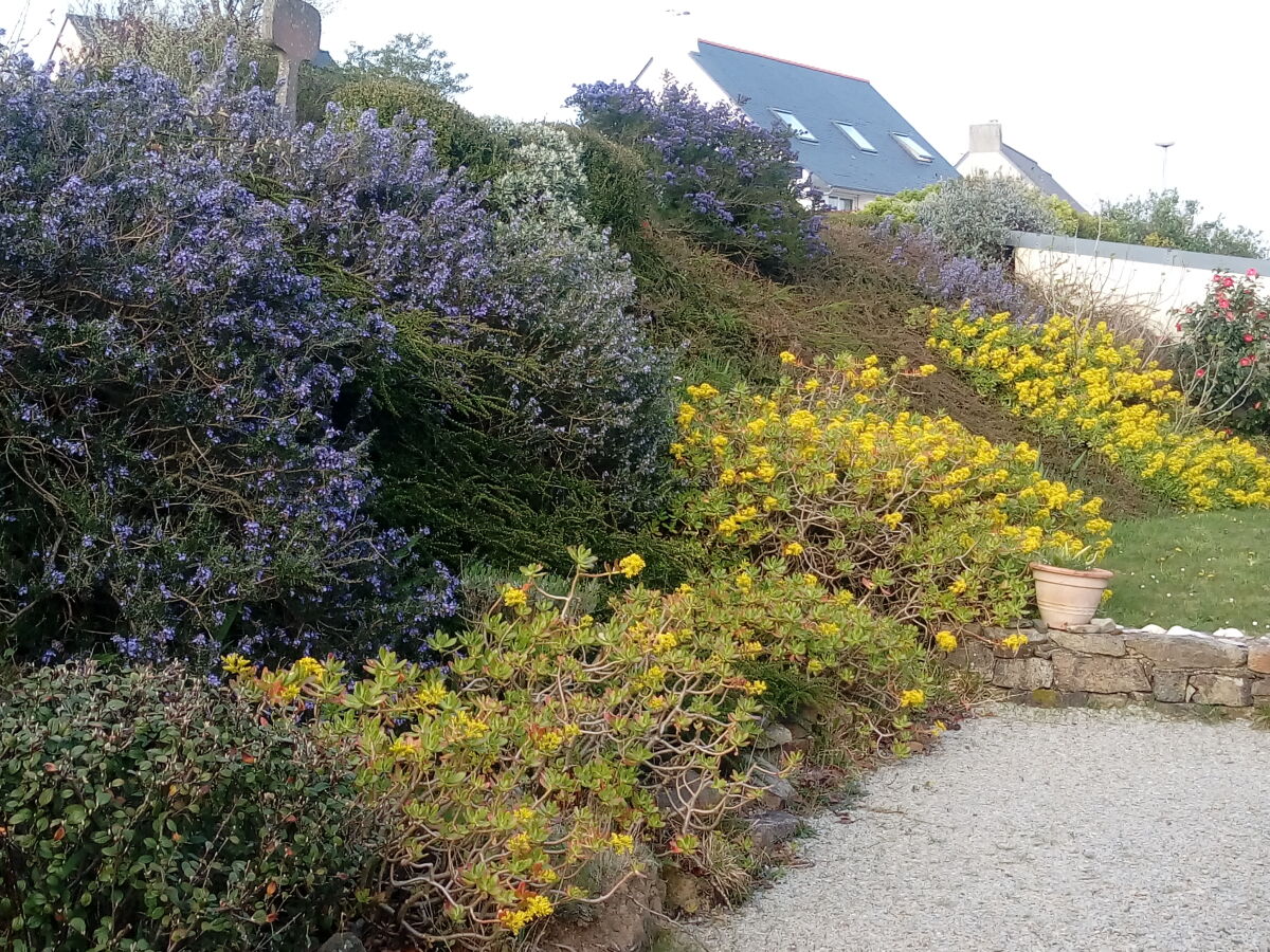 Holiday house Ti-ar-gwez (House of the trees) - Outdoor photo 3