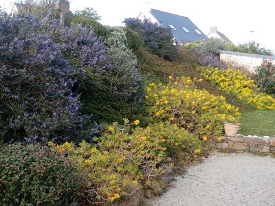 Holiday house Ti-ar-gwez (House of the trees) - Outdoor photo 3