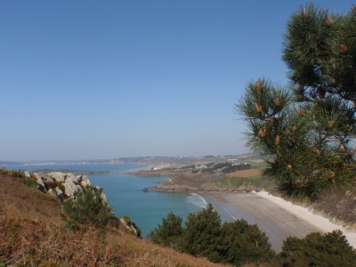 Holiday house Ti-ar-gwez (House of the trees) - Environment photo 23