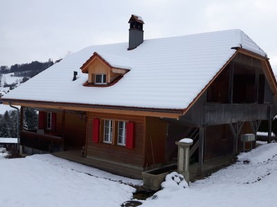 Holiday apartment Südhang Rüschegg - Outdoor photo 5