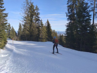 Holiday apartment Südhang Rüschegg - Environment photo 19