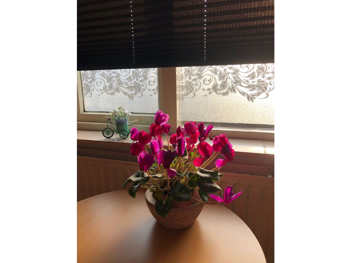 Holiday apartment Laser - Outdoor photo 4