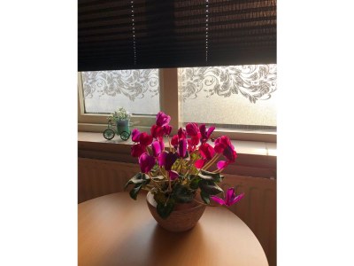 Holiday apartment Laser - Outdoor photo 4