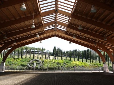 Holiday house Bella Vista - Environment photo 26