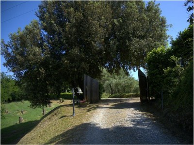 Holiday house Vallimonti Holiday Home - large private pool, close to town - Outdoor photo 15