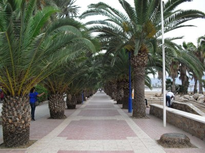 Villa Villa in Mazarrón mit privatem Pool - Environment photo 26