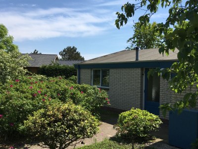 Holiday house HoogKoog 9 - Outdoor photo 2