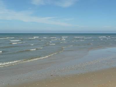 Holiday house HoogKoog 9 - Environment photo 15