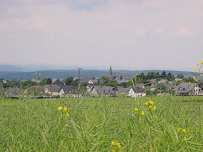 Holiday apartment in the Guesthouse Bauernstube - Environment photo 10