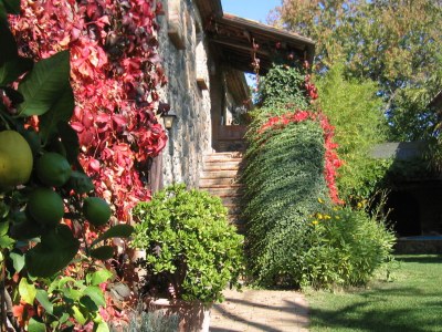 Holiday house Santa Croce - Outdoor photo 5