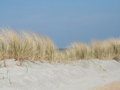 Apartment Schöne Ferienwohnung mit Garten in Robertsdorf - Environment photo 28