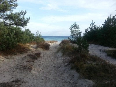 Apartment Wohnung in Wiek nahe Juliusruh Strand - Environment photo 34