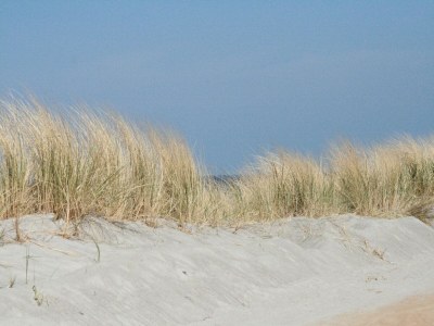 Apartment Gemütliche Ferienwohnung mit Garten in Robertsdorf - Outdoor photo 39
