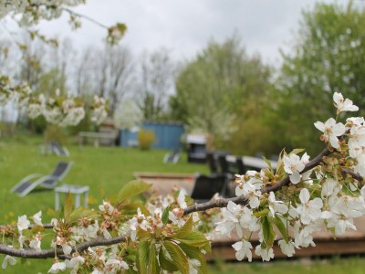 Apartment Charmante Ferienwohnung mit Garten in Wiek - Environment photo 29