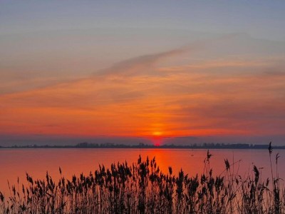 Apartment Charmante Ferienwohnung mit Garten in Wiek - Environment photo 35