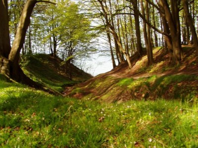 Apartment Charmante Ferienwohnung mit Garten in Wiek - Environment photo 39