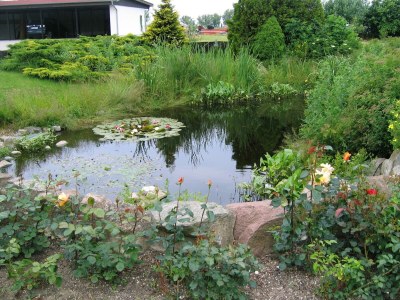 Apartment Ferienwohnung in Bastorf for 3 Personen - Outdoor photo 7