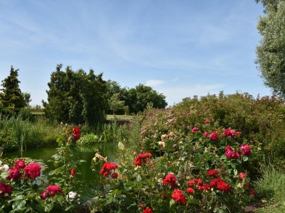Apartment Ferienwohnung in Bastorf for 3 Personen - Outdoor photo 10