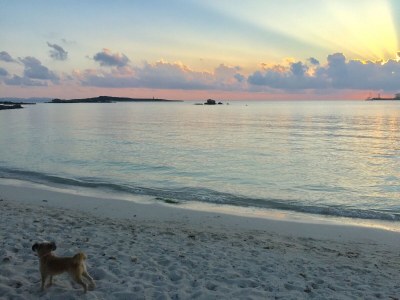 Holiday house Casa Llimonera - Environment photo 31