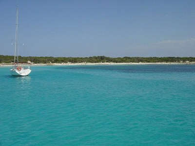 Holiday house Casa Llimonera - Environment photo 34