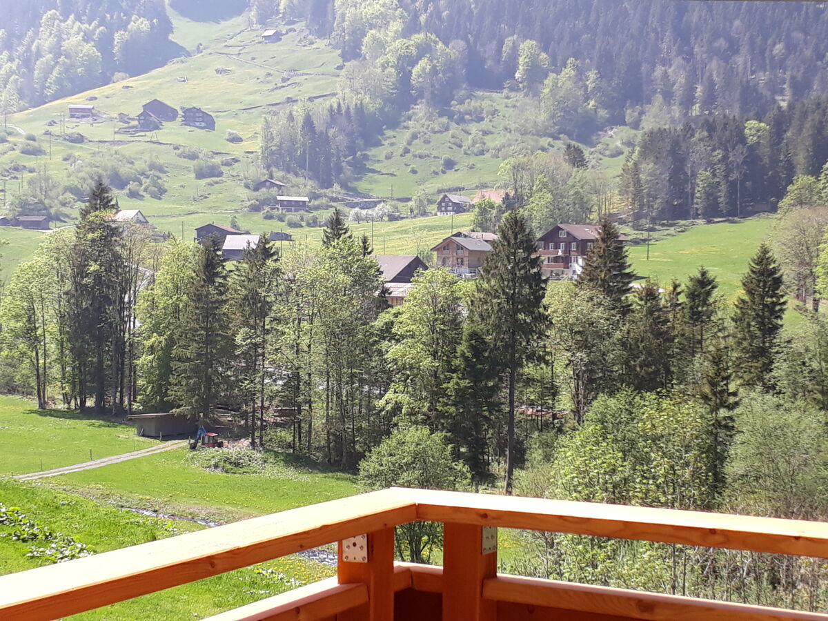 Holiday apartment Schweigmatt Obergeschoss - Outdoor photo 5