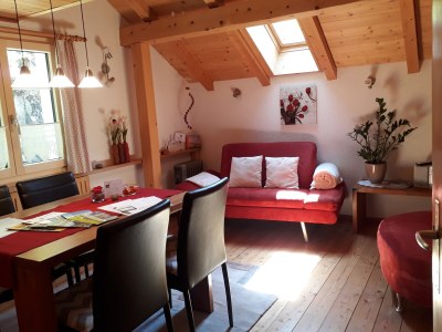 Holiday apartment Schweigmatt Obergeschoss - Features photo 12