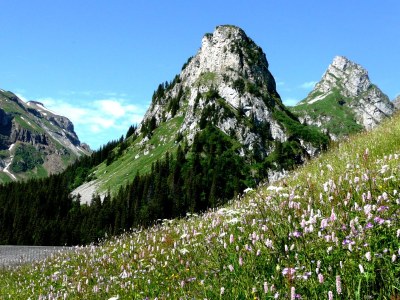 Holiday apartment Schweigmatt Obergeschoss - Environment photo 25