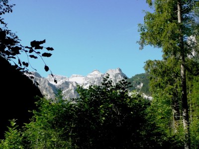 Holiday apartment Schweigmatt Obergeschoss - Environment photo 29