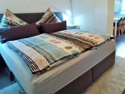 Holiday apartment Vacation Home Lake of Constance - Features photo 6