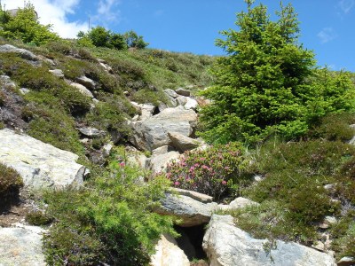 Apartment Rosenhof Apartment, Type 1 - Environment photo 22