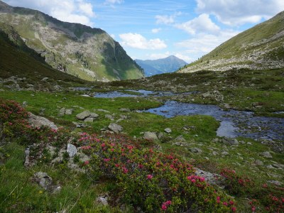 Apartment Rosenhof Apartment, Type 1 - Environment photo 26