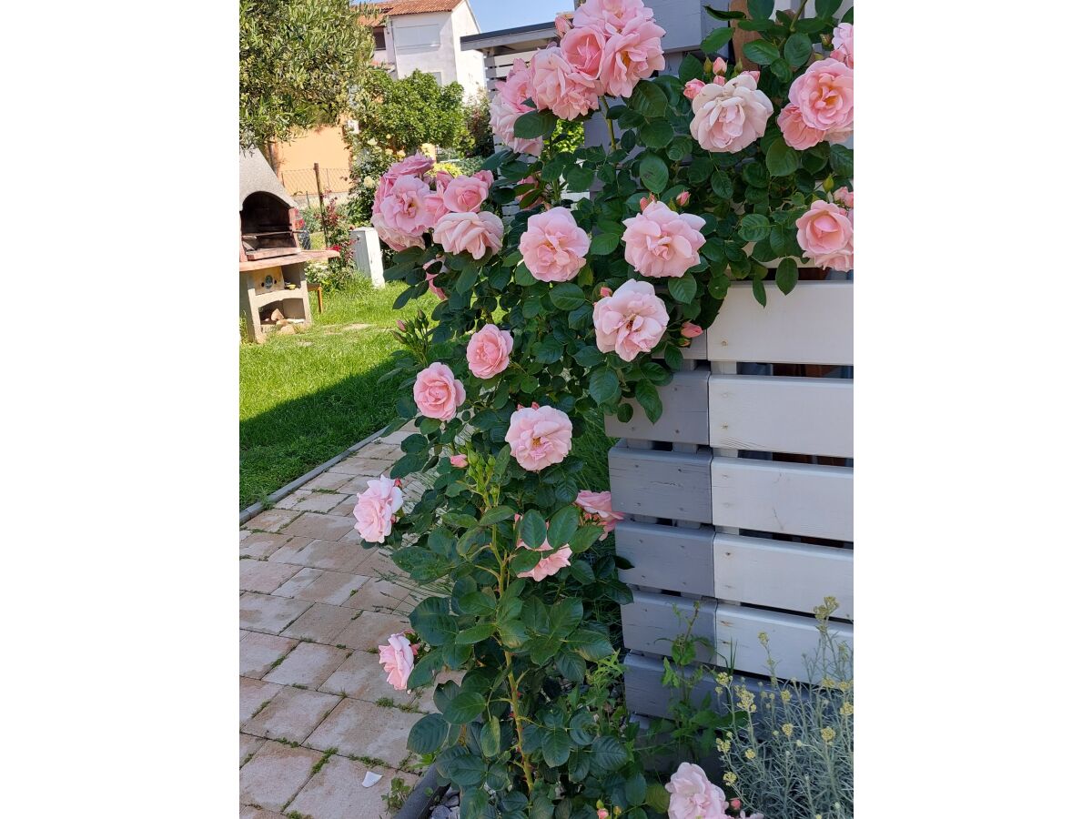 Holiday house Rašin - Outdoor photo 3