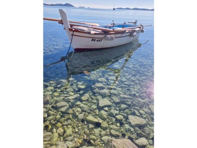 Holiday house Rašin - Environment photo 17