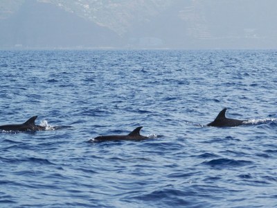 Villa Vista do Mar - Environment photo 21