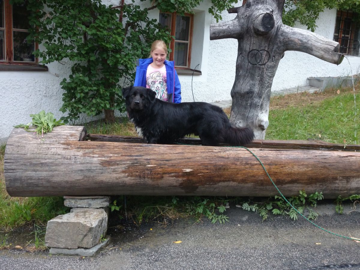 Holiday apartment HochkÃ¶nig - Outdoor photo 2