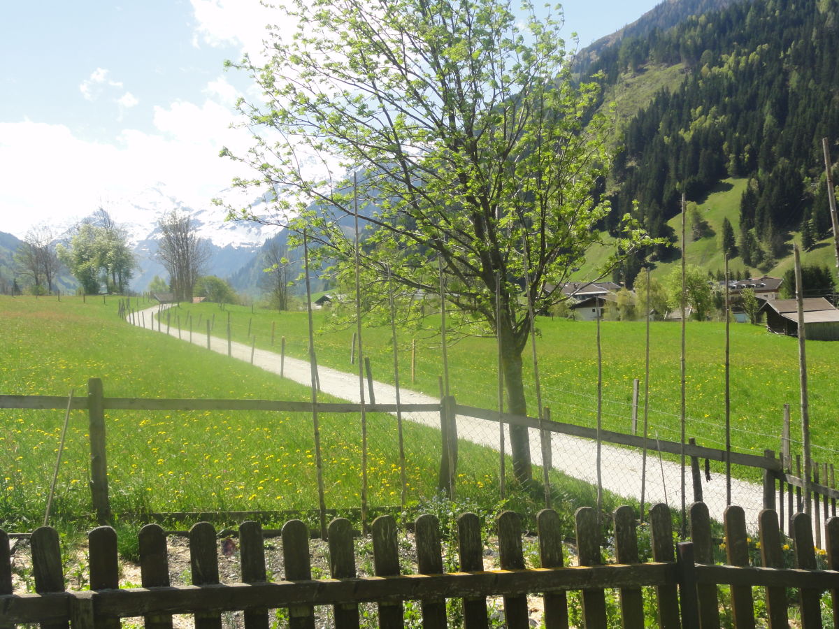 Holiday apartment HochkÃ¶nig - Outdoor photo 4