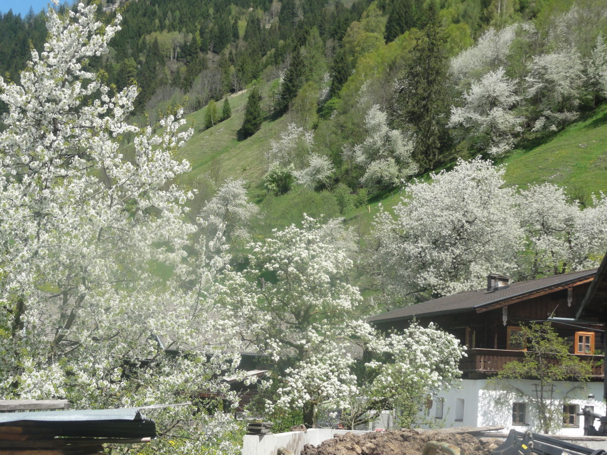 Holiday apartment HochkÃ¶nig - Outdoor photo 5