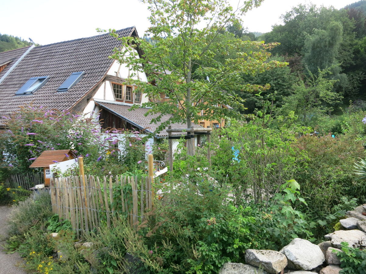 Holiday apartment Bienenkorb - Outdoor photo 4