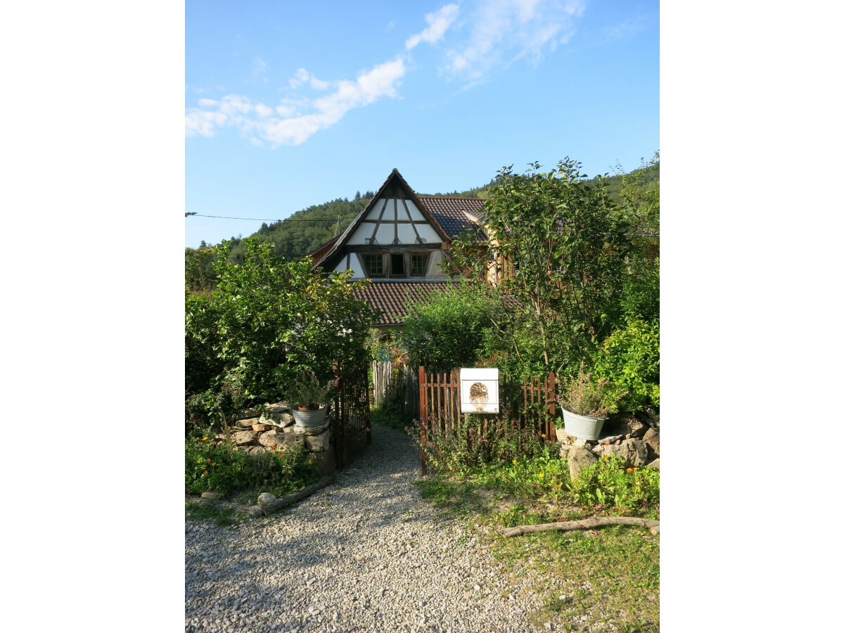 Holiday apartment Bienenkorb - Outdoor photo 5