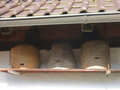 Holiday apartment Bienenkorb - Outdoor photo 3