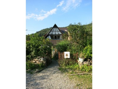 Holiday apartment Bienenkorb - Outdoor photo 5